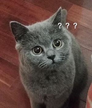 DƬ